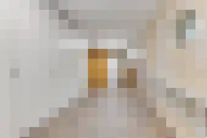 Weerepad 3 Obdam thumbnail 21