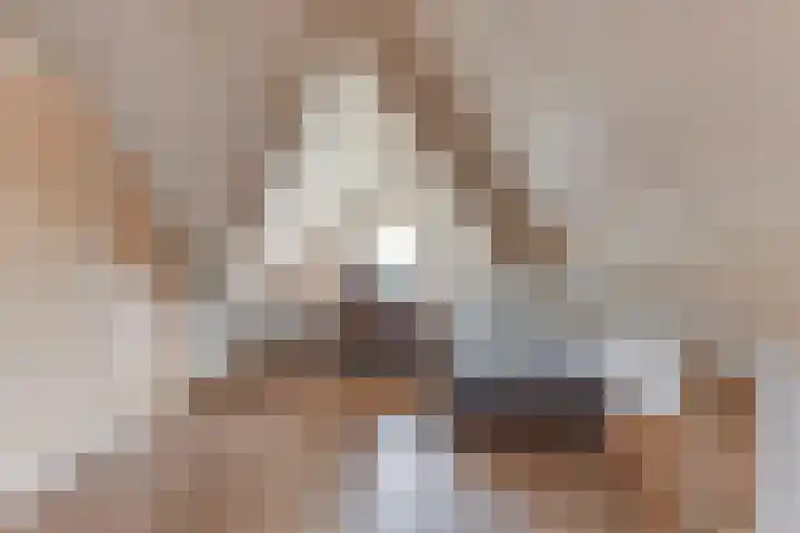 Weerepad 3 Obdam thumbnail 25