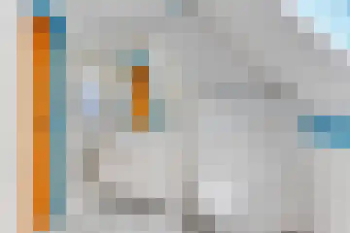 Weerepad 3 Obdam thumbnail 28