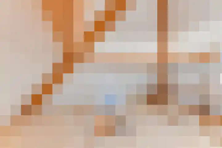 Weerepad 3 Obdam thumbnail 39