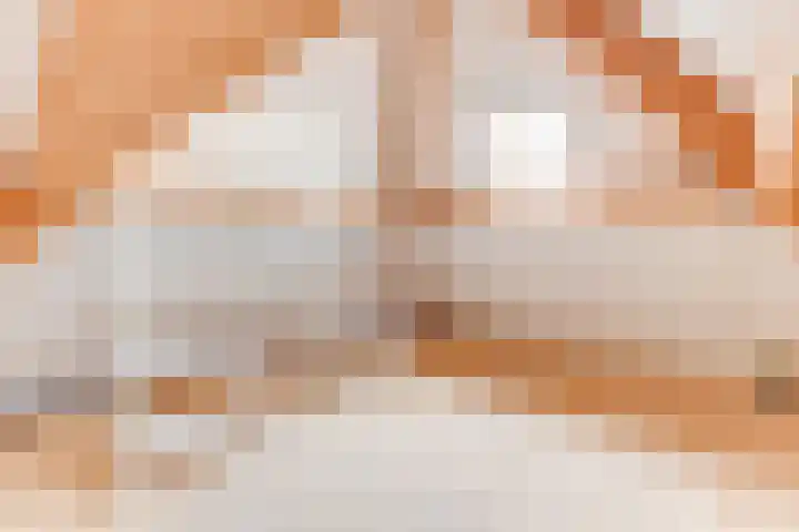 Weerepad 3 Obdam thumbnail 40