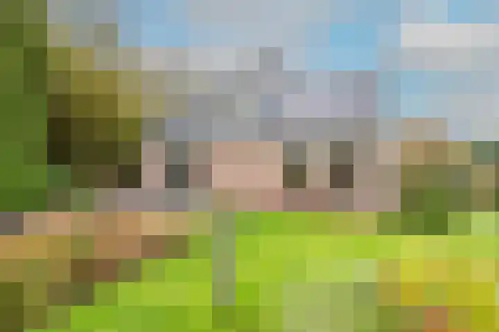 Weerepad 3 Obdam thumbnail 41