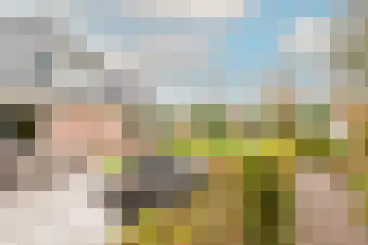Weerepad 3 Obdam thumbnail 46