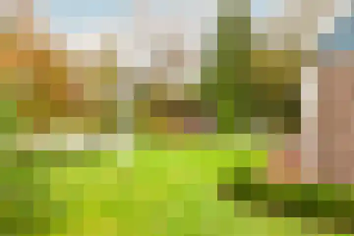 Weerepad 3 Obdam thumbnail 47