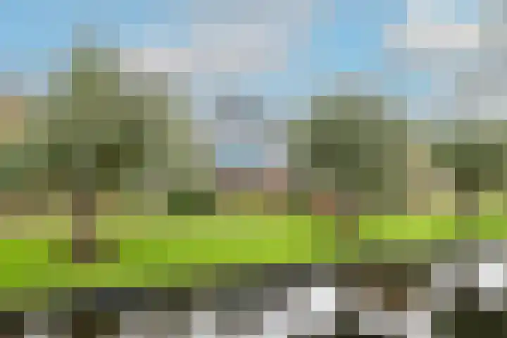 Weerepad 3 Obdam thumbnail 5