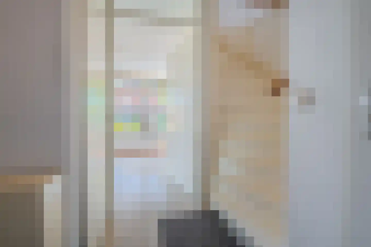 Weerestein 13 Sappemeer thumbnail 13