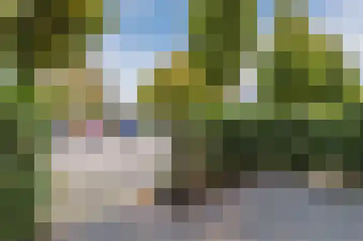 Weerestein 15 Breukelen thumbnail 7