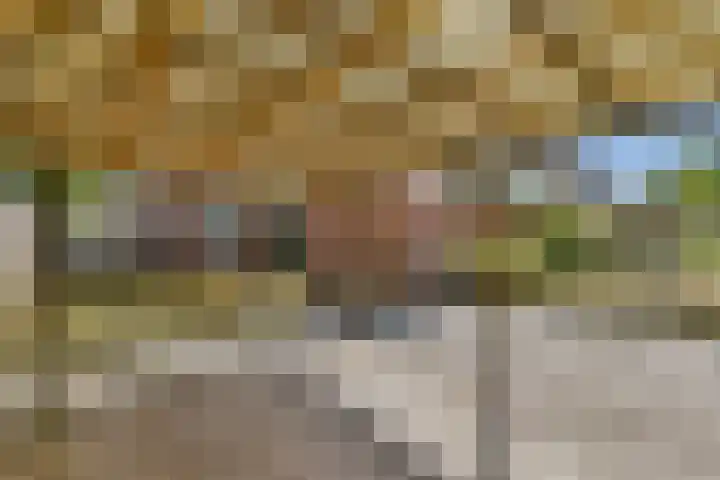 Weerestein 25 Loenen aan de Vecht thumbnail 23