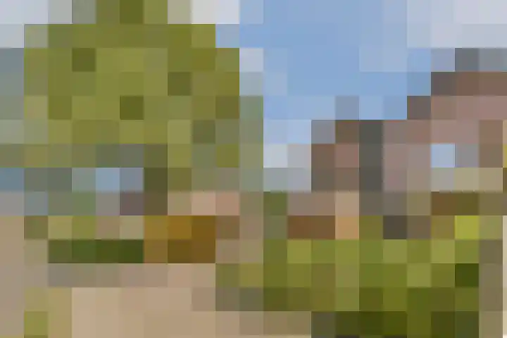 Weerestein 25 Loenen aan de Vecht thumbnail 25