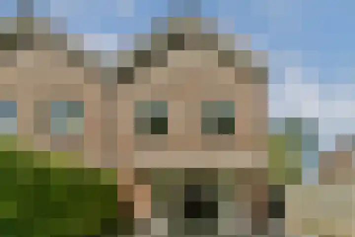 Weerestein 25 Loenen aan de Vecht thumbnail 27