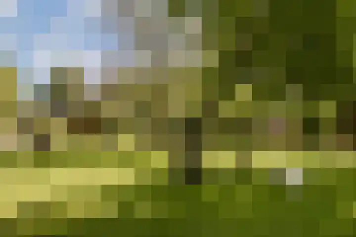 Weerestein 25 Loenen aan de Vecht thumbnail 28