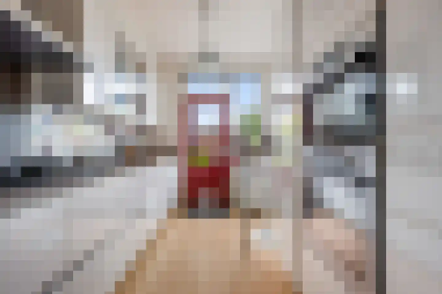 Weerestein 27 Gouda thumbnail 16