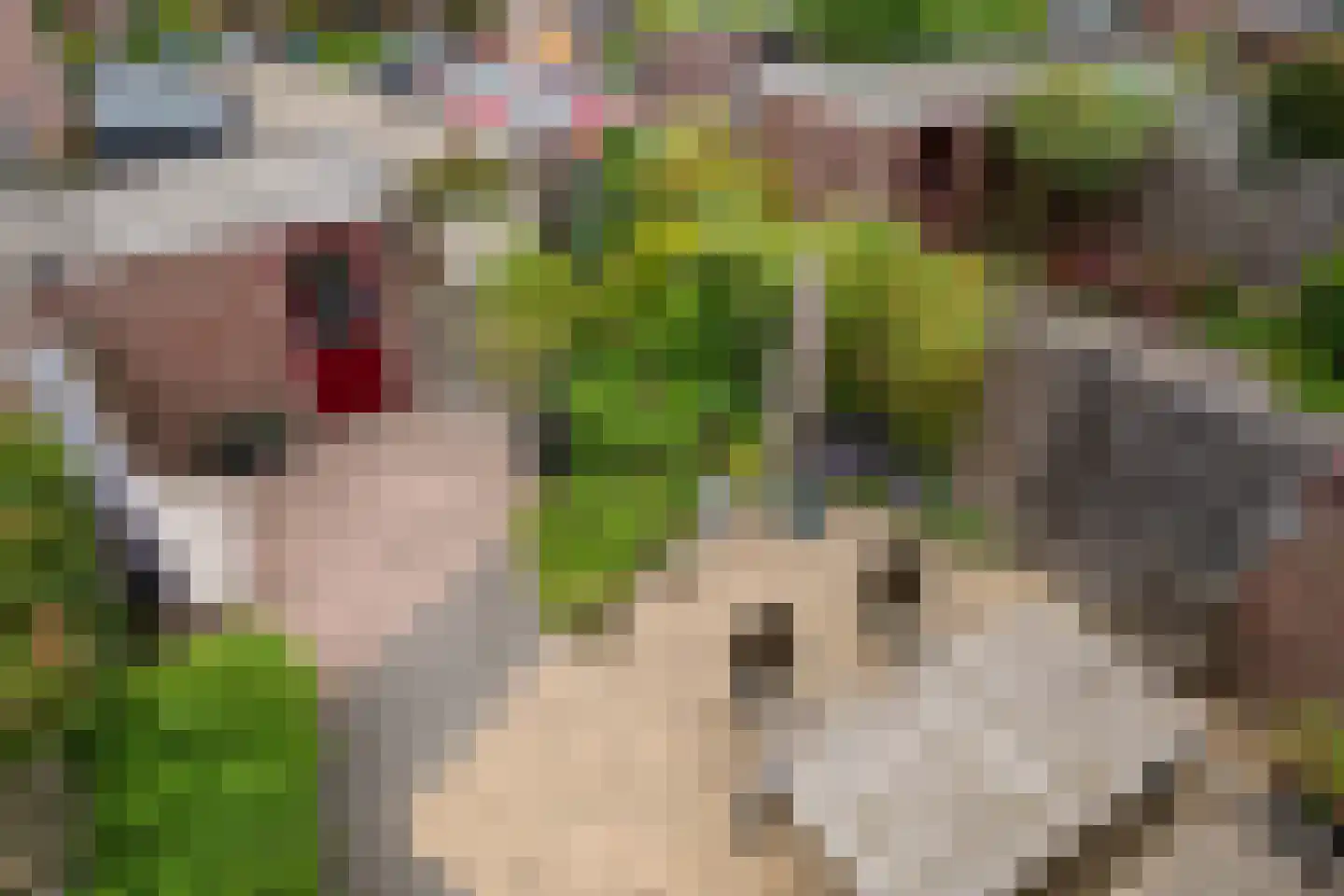 Weerestein 27 Gouda thumbnail 23