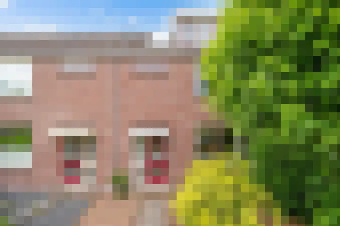 Weerestein 27 Gouda thumbnail 6