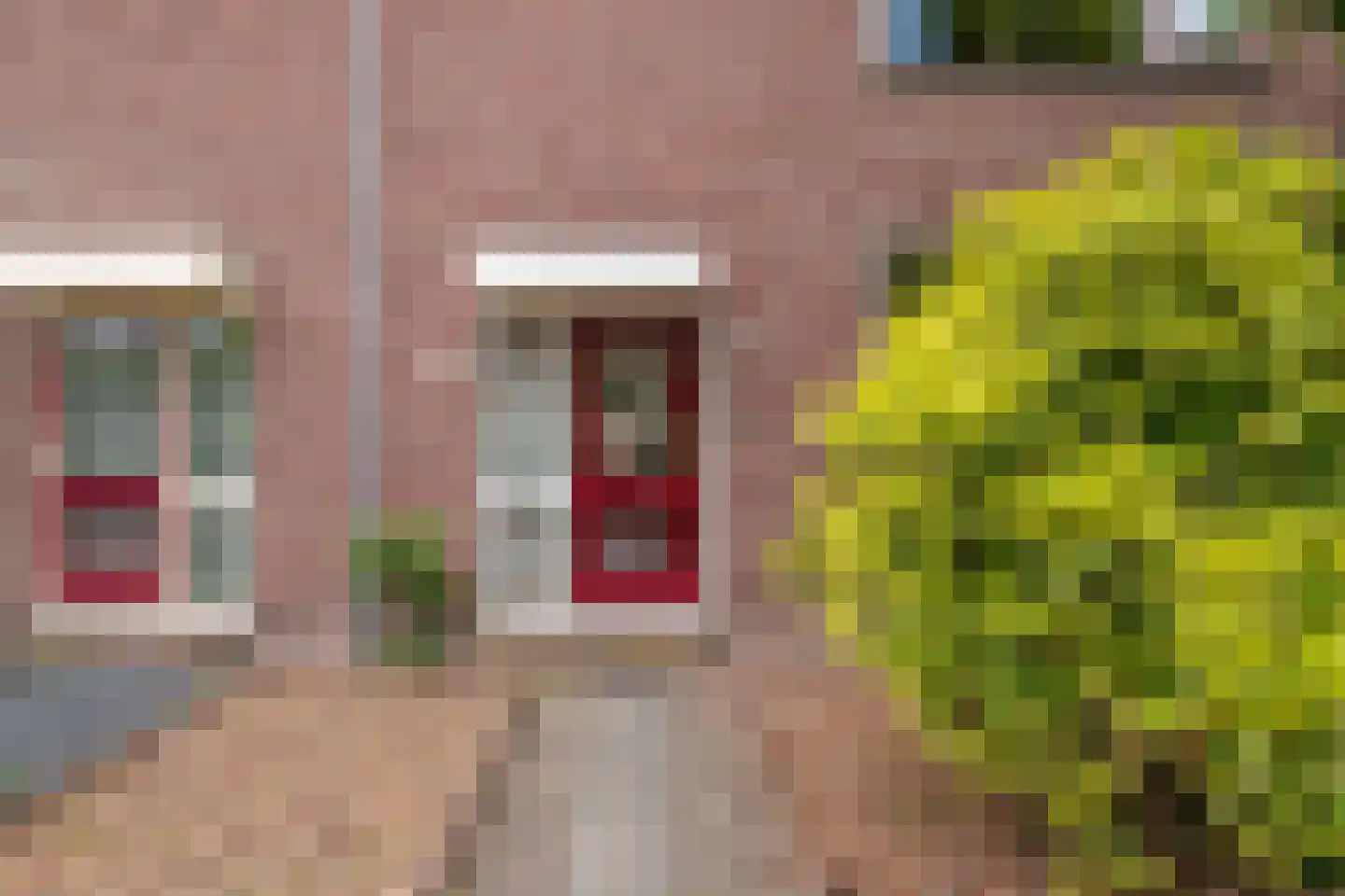Weerestein 27 Gouda thumbnail 7