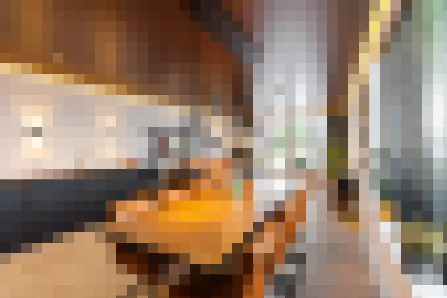 Weerestein 27 Sappemeer thumbnail 17