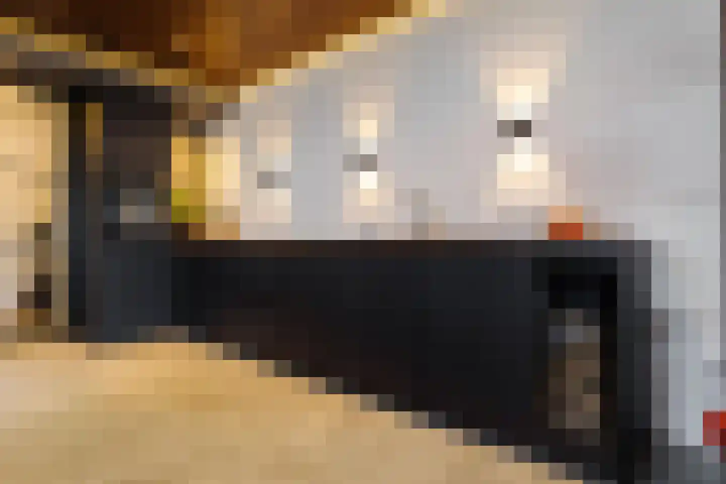 Weerestein 27 Sappemeer thumbnail 20