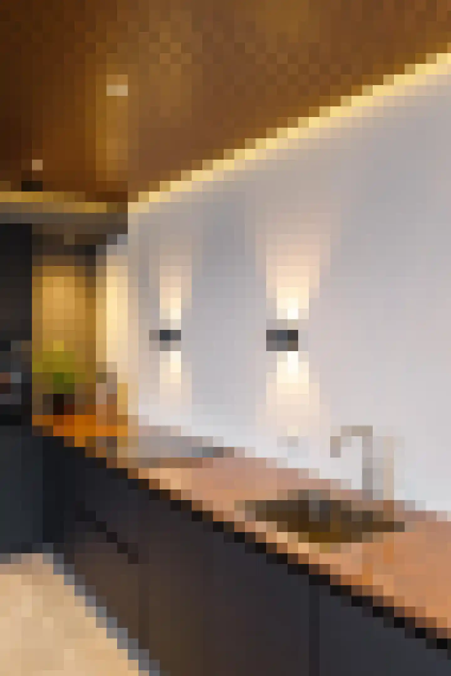 Weerestein 27 Sappemeer thumbnail 21