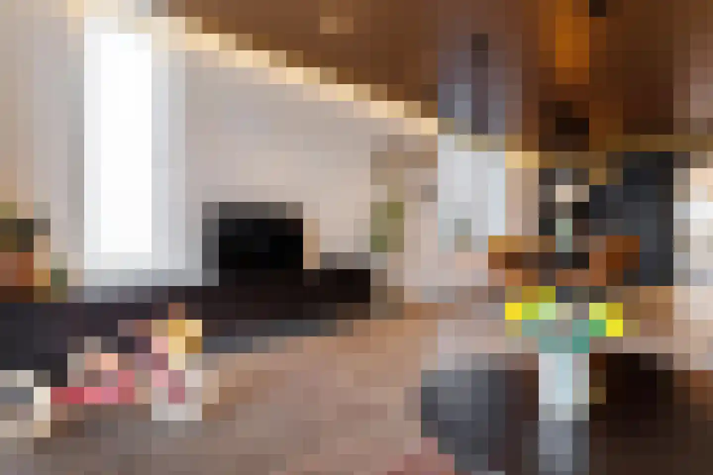 Weerestein 27 Sappemeer thumbnail 26