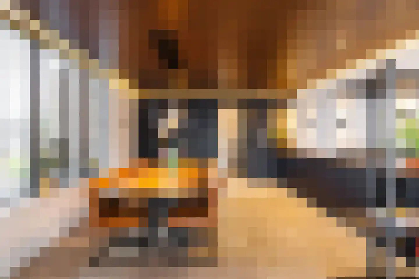 Weerestein 27 Sappemeer thumbnail 4