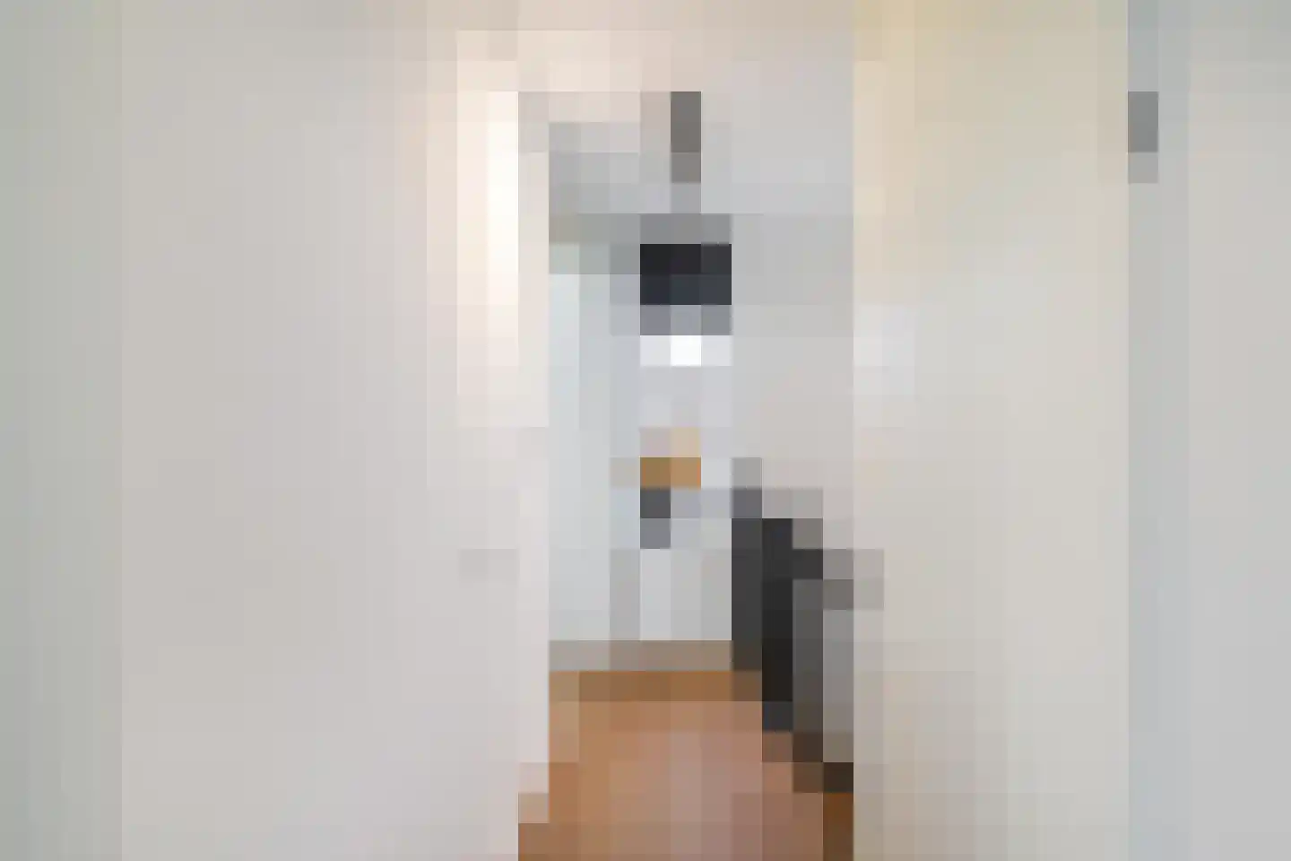 Weerestein 27 Sappemeer thumbnail 41