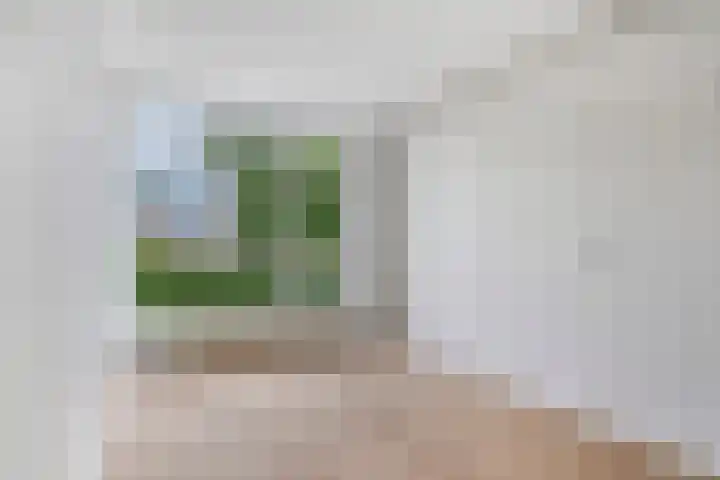 Weerestein 3 Gouda thumbnail 13