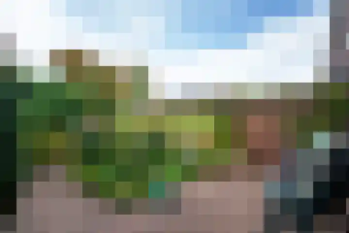 Weerestein 3 Gouda thumbnail 21