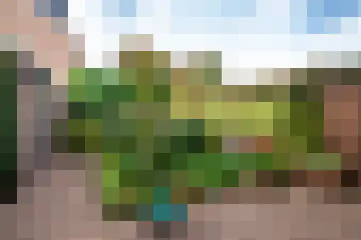 Weerestein 3 Gouda thumbnail 22