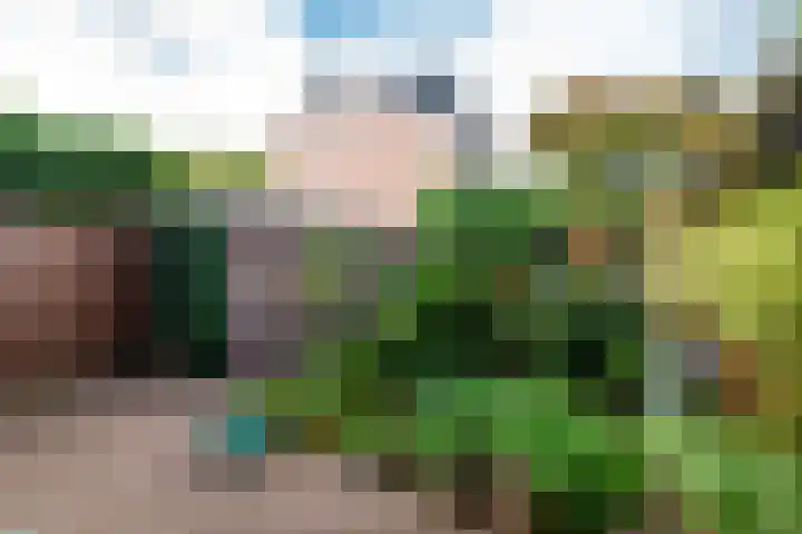 Weerestein 3 Gouda thumbnail 23
