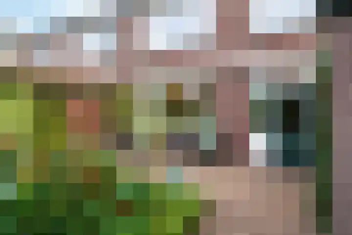Weerestein 3 Gouda thumbnail 24