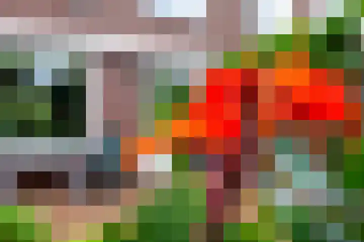 Weerestein 3 Gouda thumbnail 25