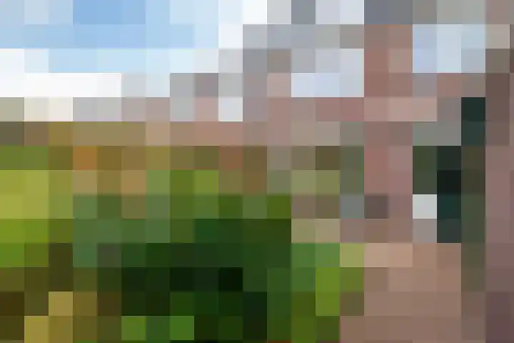 Weerestein 3 Gouda thumbnail 26