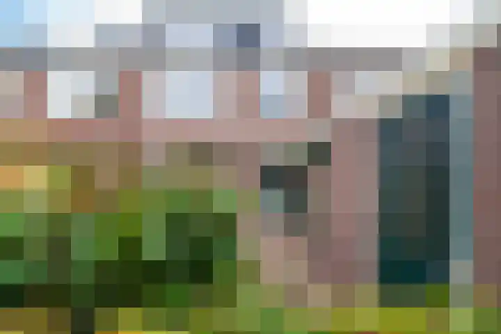 Weerestein 3 Gouda thumbnail 27