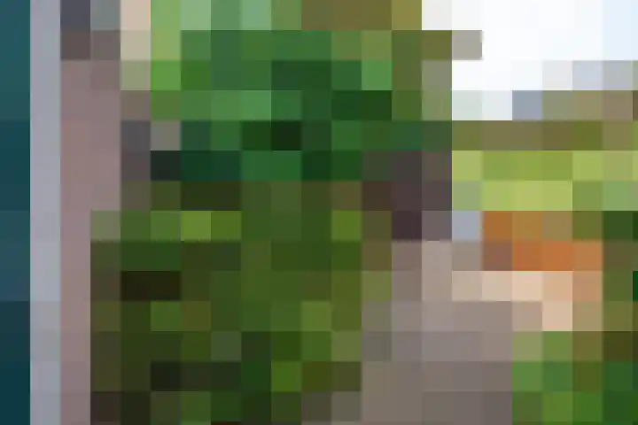 Weerestein 3 Gouda thumbnail 28