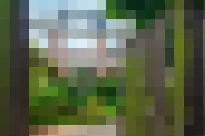 Weerestein 3 Gouda thumbnail 30