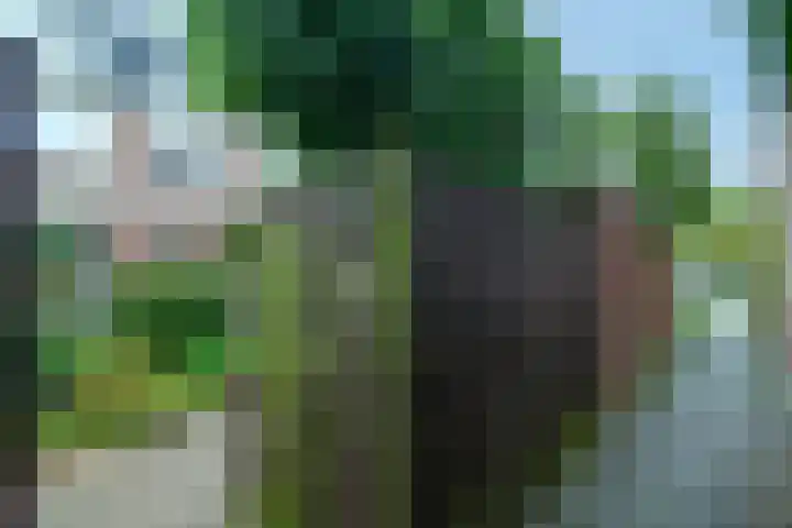 Weerestein 3 Gouda thumbnail 31