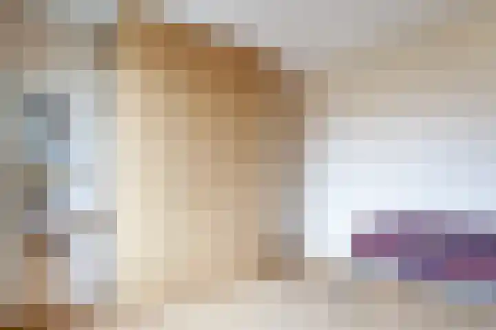 Weerestein 3 Gouda thumbnail 37