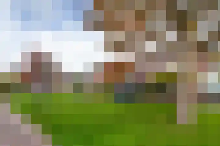 Weerestein 3 Gouda thumbnail 49