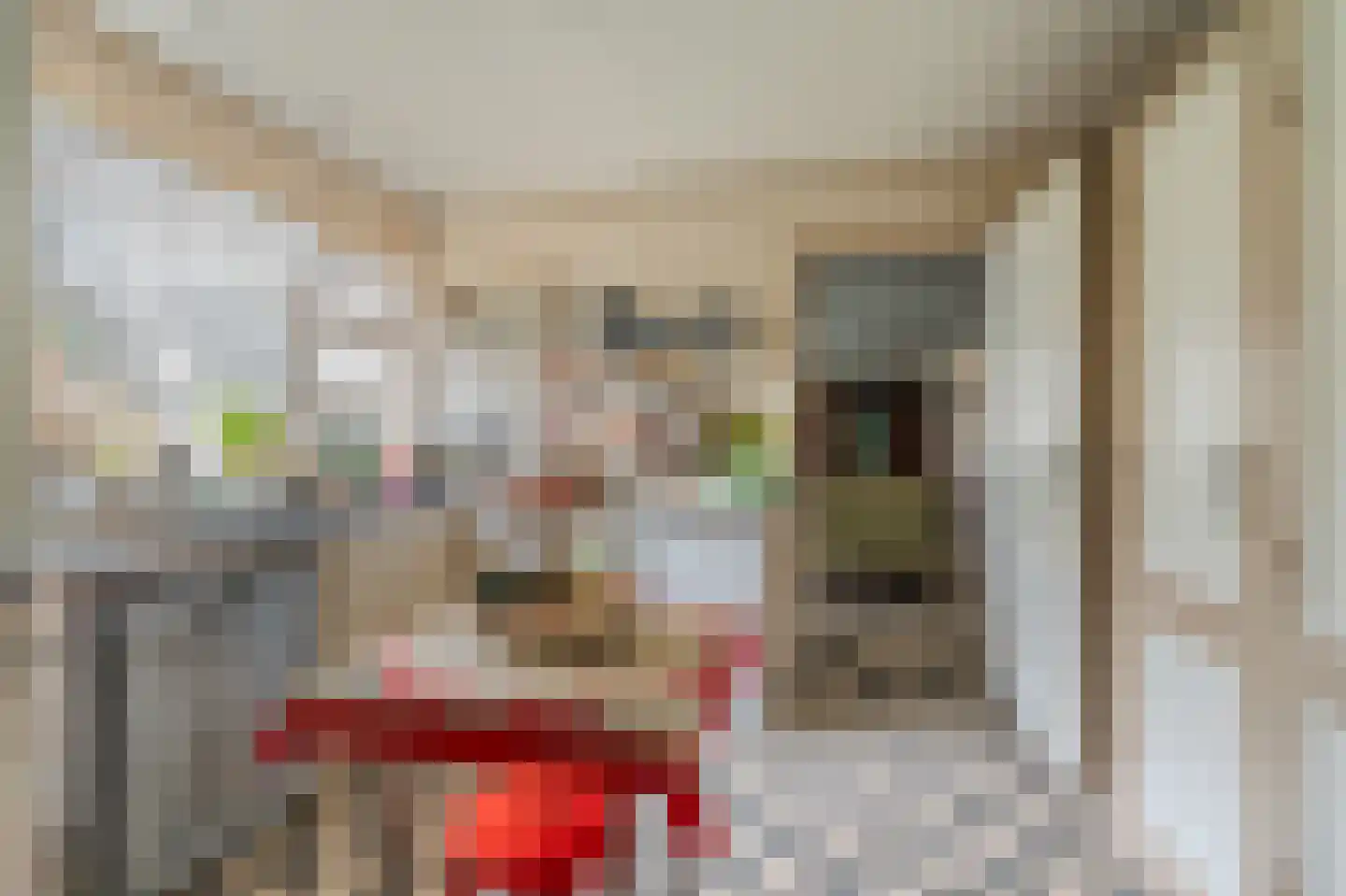 Weerestein 3 Gouda thumbnail 5