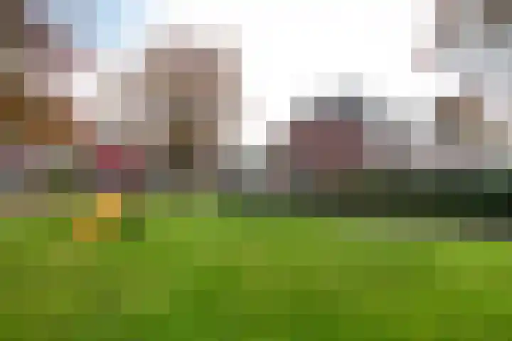 Weerestein 3 Gouda thumbnail 50