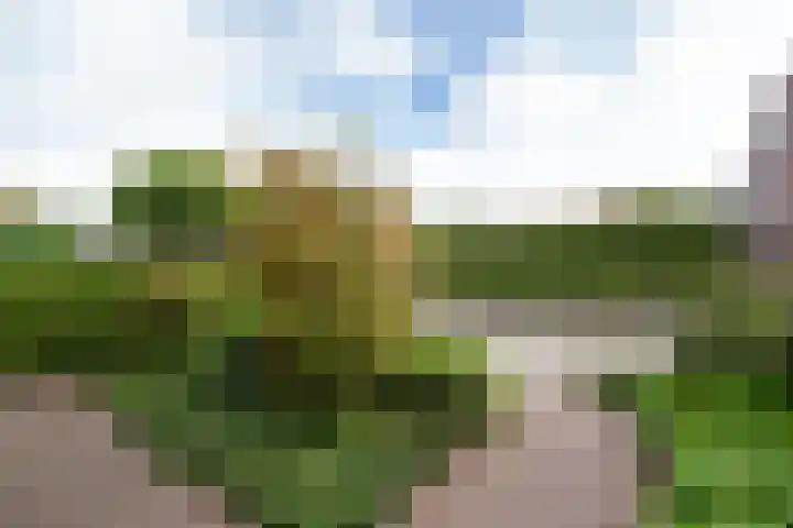 Weerestein 3 Gouda thumbnail 6