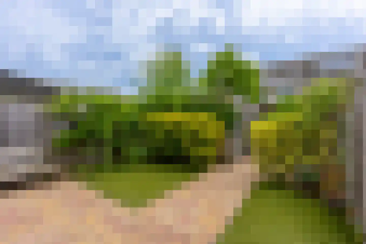 Weeresteinhof 15 Utrecht thumbnail 17