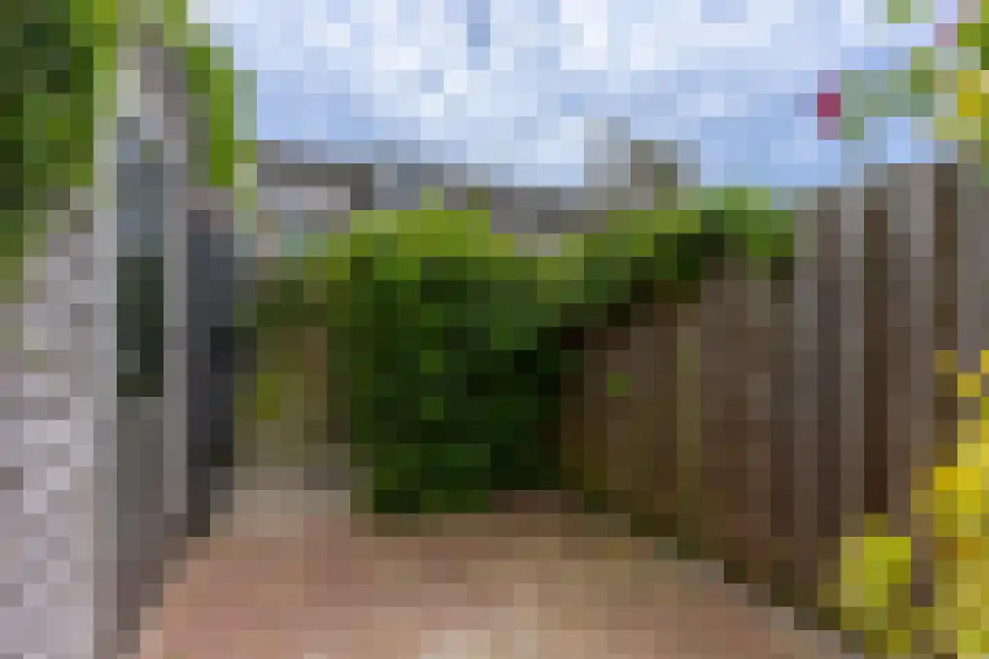 Weeresteinhof 15 Utrecht thumbnail 19