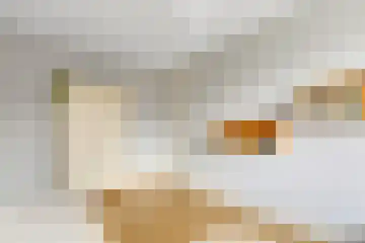 Weeresteinlaan 12 Utrecht thumbnail 18