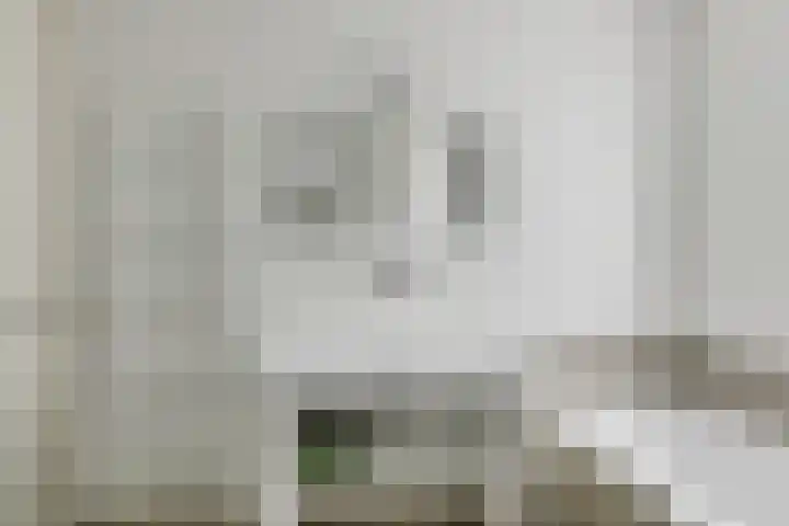 Weeresteinlaan 12 Utrecht thumbnail 24