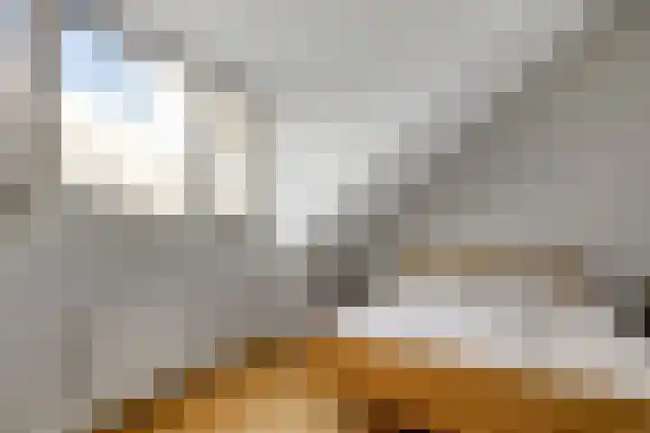 Weeresteinlaan 12 Utrecht thumbnail 28