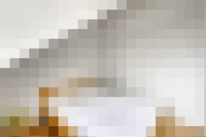 Weeresteinlaan 12 Utrecht thumbnail 29