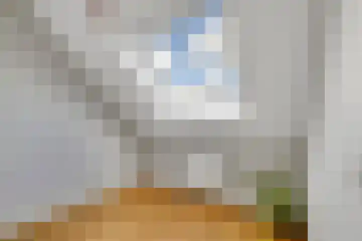 Weeresteinlaan 12 Utrecht thumbnail 33