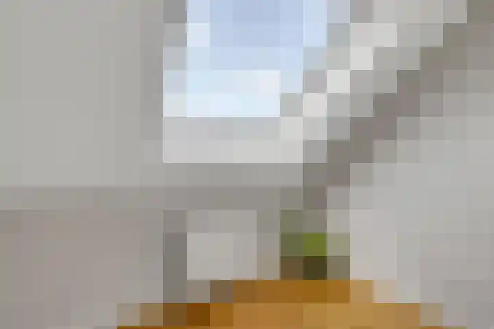 Weeresteinlaan 12 Utrecht thumbnail 34