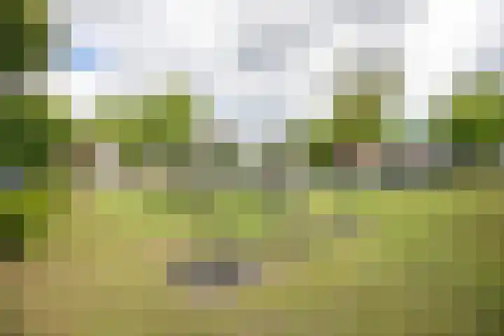 Weeresteinlaan 12 Utrecht thumbnail 45